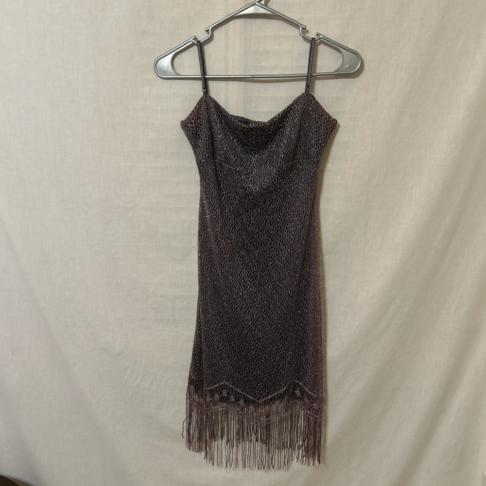 Elegant vintage Purple Fringe Dress
